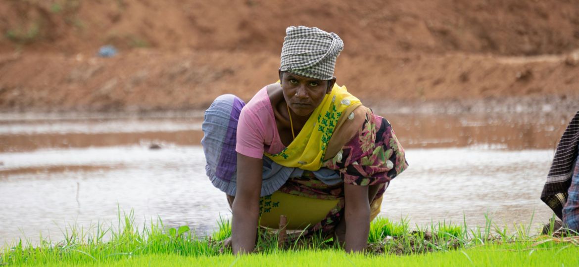 A woman working in the fields in heat has tied a cloth to her head to protect herself from the sun