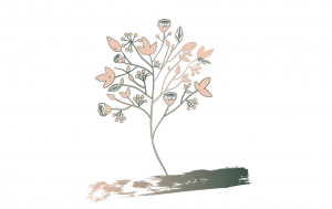 dark green and light peach leaves and flowers