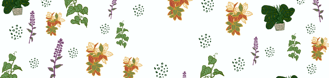 Coloured leaves in green, purple, orange on a white background