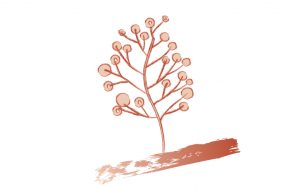 red and light peach leaves