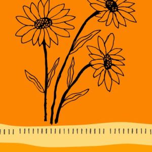 Self Care and Collective Care